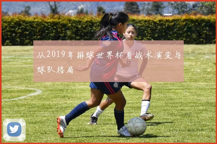 从2019年排球世界杯看战术演变与球队格局