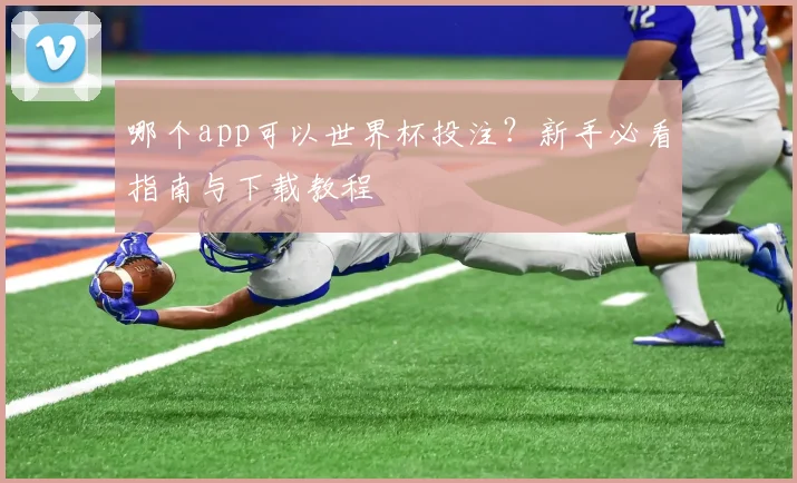 哪个app可以世界杯投注?新手必看指南与下载教程