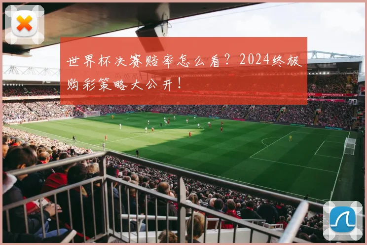 世界杯决赛赔率怎么看?2024终极购彩策略大公开!
