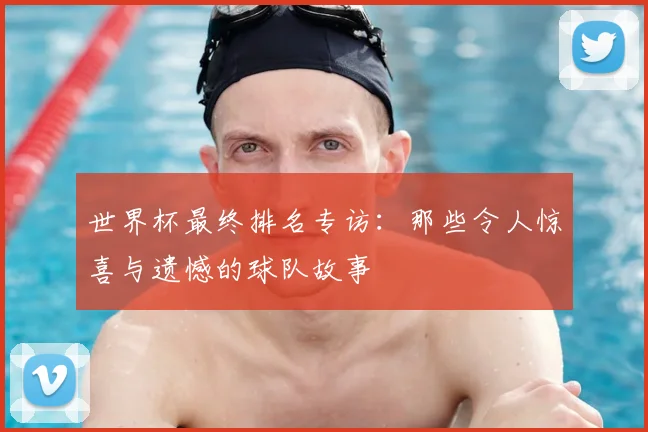 世界杯最终排名专访：那些令人惊喜与遗憾的球队故事
