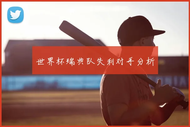 世界杯瑞典队失利对手分析