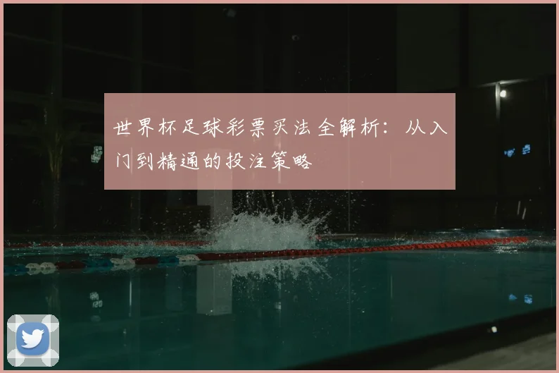 世界杯足球彩票买法全解析:从入门到精通的投注策略