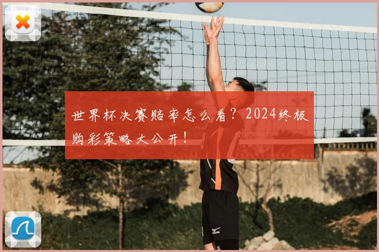 世界杯决赛赔率怎么看?2024终极购彩策略大公开!