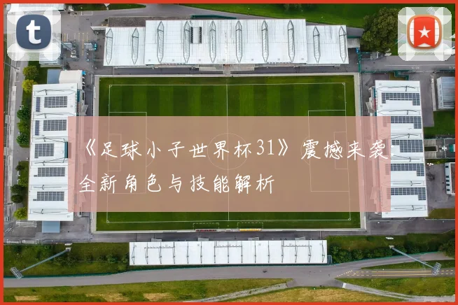 《足球小子世界杯31》震撼来袭:全新角色与技能解析