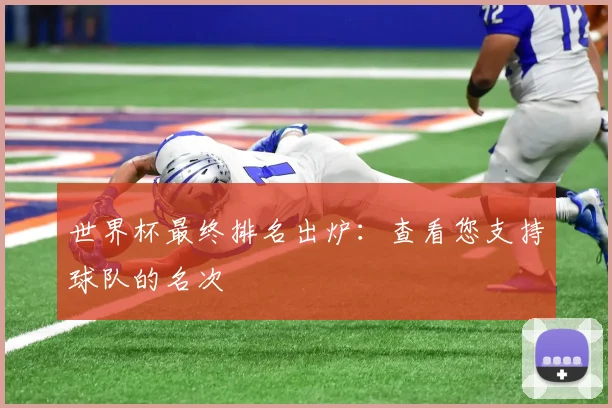 世界杯最终排名出炉：查看您支持球队的名次
