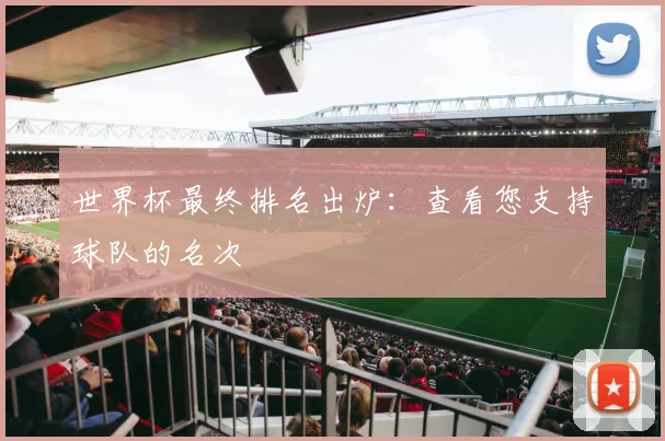 世界杯最终排名出炉：查看您支持球队的名次